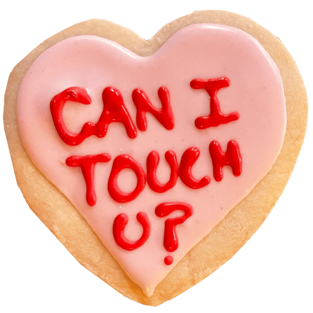 can-i-touch-you-cookie2